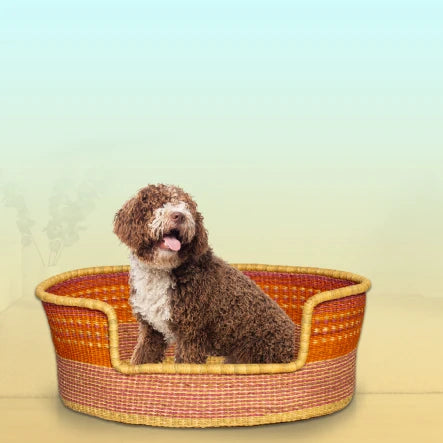 Adorable Puppy Baskets for Your Furry Friend’s Comfort and Style