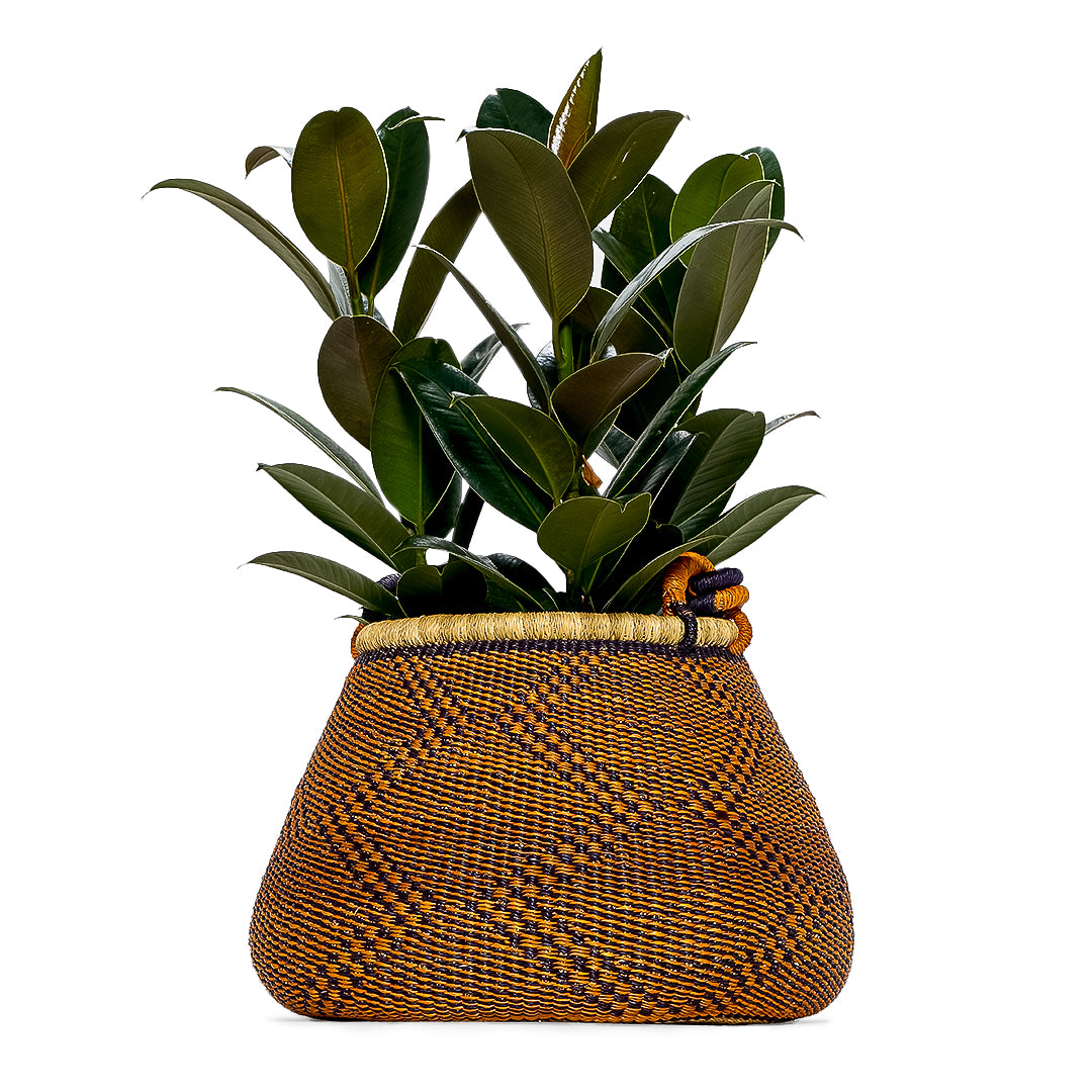 Pine Cone Hand-Woven Pot Basket